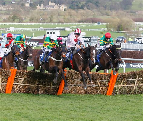 cheltenham placepot live.